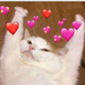 Meet your Posher, Ash